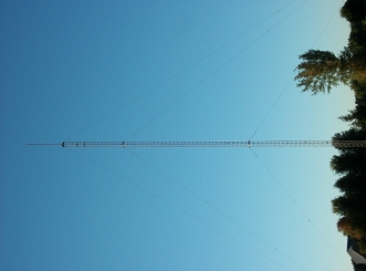 Rohn 55g at 100 ft - waiting for its antennas